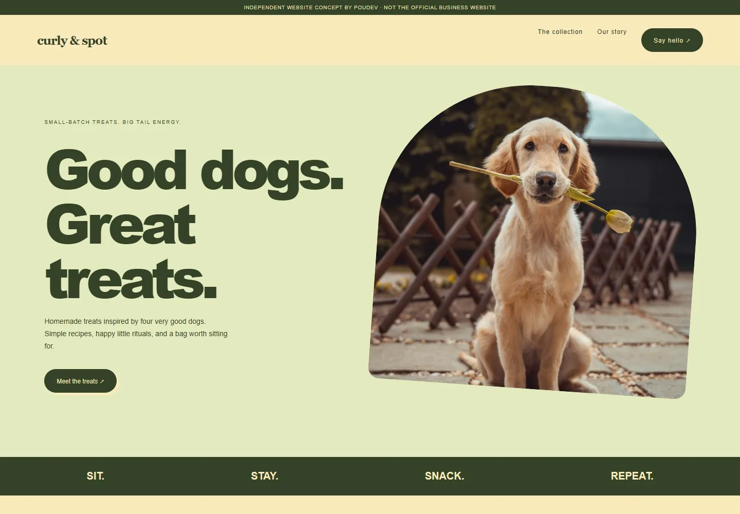 Curly & Spot website design preview